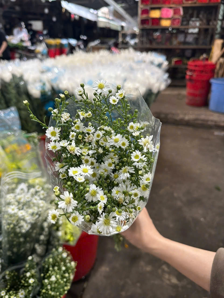 Thạch thảo trắng (1kg)