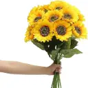 10 bông hoa Hướng Dương, quà tặng cho mọi dịp