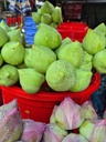 Sen hồng
