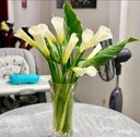 Hoa rum Việt (10 bông)