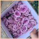 Hoa hồng Tím huế (50 bông/bó)