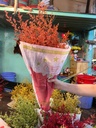 Sao tím nhuộm cam ( 1 bó)