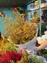 Sao tím nhuộm vàng ( 1 bó)