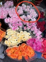 Hoa hồng Đà Lạt Hasfarm hồng nhạt ( 10 bông)