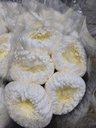 Cúc magnum to trắng (5 bông)