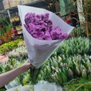 Salem tím hồng (5 cành/bó)