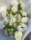 Hồng chùm trắng (10 cành/bó) - White Lady