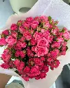 Hồng chùm hồng cánh sen đậm (Deep pink)