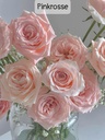 Hoa hồng Pinkrosse (50 bông/bó)