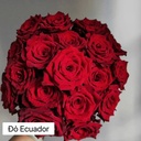 Hoa hồng Ecuador đỏ (50 bông/bó)
