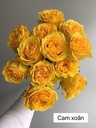 Hoa hồng Cam xoăn (50 bông/bó))