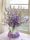 Hoa Violet