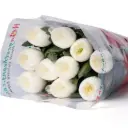 Cúc Lưới trắng - Hàng Công ty (10 cành)