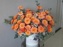 Sắc Hoa Ngày Nắng - HCM0314