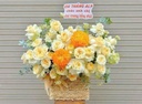 Sắc Hoa Ngày Nắng - HCM0317