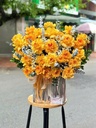 Sắc Hoa Ngày Nắng - HCM0319