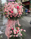 Lẵng Hoa Chúc Mừng - HCM0381