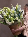 Vương Vấn Sắc Xuân - HCM0421
