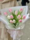 Bó Tulip Phớt Hồng - HCM050