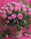 Giỏ Hoa Hồng Chùm - HCM064