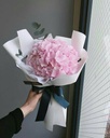Bó Hoa Cẩm Tú Cầu - HCM0151