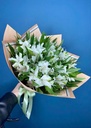 Bó Hoa Dịu Dàng - HCM0220