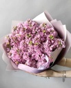 Bó Nhẹ Nhàng Sắc Hoa - HCM0222