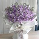 Bó Nhẹ Nhàng Sắc Hoa - HCM0241