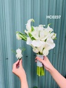 Hoa cưới cầm tay- HC0237