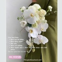 Hoa cưới cầm tay- HC0128