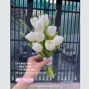 Hoa cưới cầm tay- HC0170