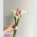 Hoa cưới cầm tay- HC0187