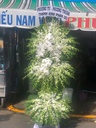 Hoa chia buồn - HC1013